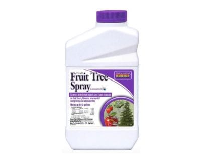 streptomycin fruit tree spray